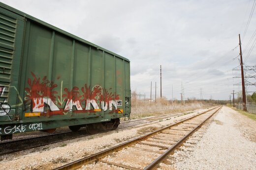 Rakun on Shady Lane (Texas Biennial)